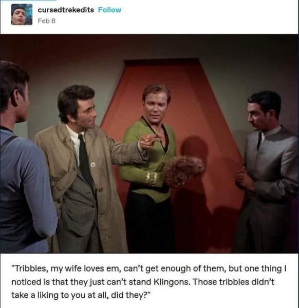 Name:  Columbo on Star Trek TOS.jpg Views: 615 Size:  38.4 KB