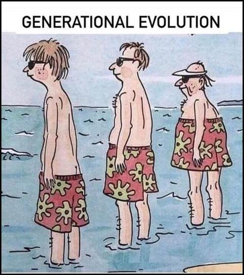 Name:  Generational Evolution.jpg
Views: 963
Size:  55.5 KB