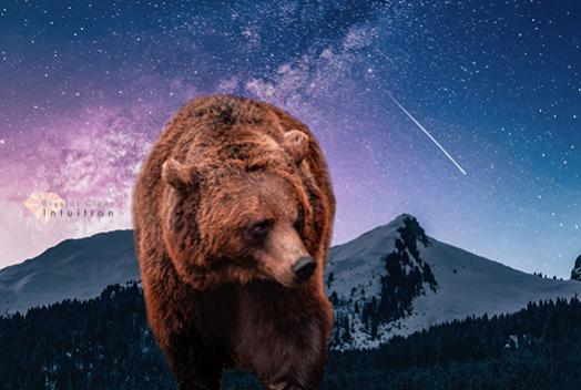 Name:  spiritual-meaning-and-symbolism-of-a-bear.jpg
Views: 331
Size:  31.8 KB