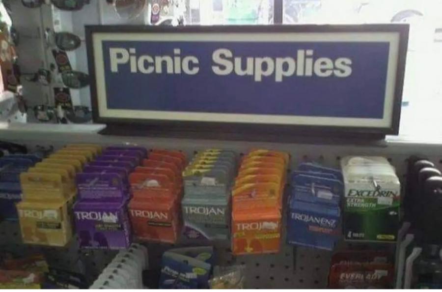 Name:  picnic.jpg Views: 589 Size:  50.0 KB