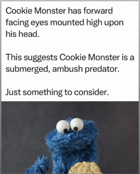 Name:  Cookie monster ambush.jpg
Views: 937
Size:  31.7 KB