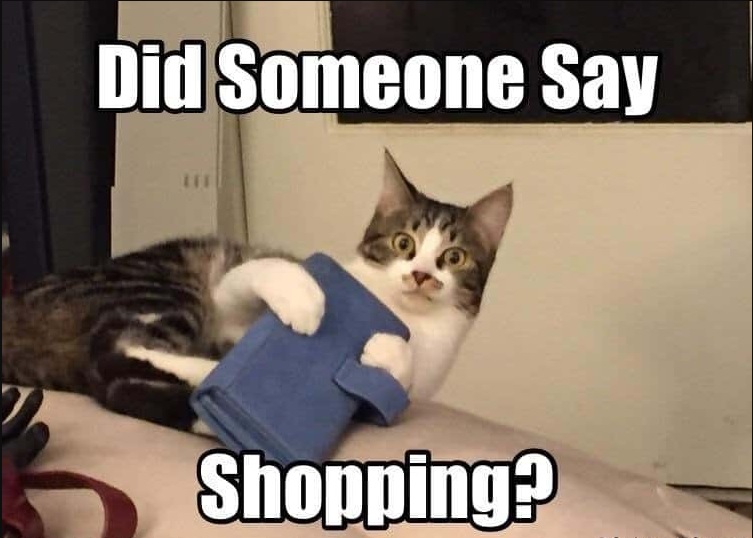 Name:  cat shopping.jpg
Views: 606
Size:  96.2 KB