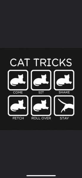 Name:  Cat tricks.jpg
Views: 631
Size:  14.8 KB