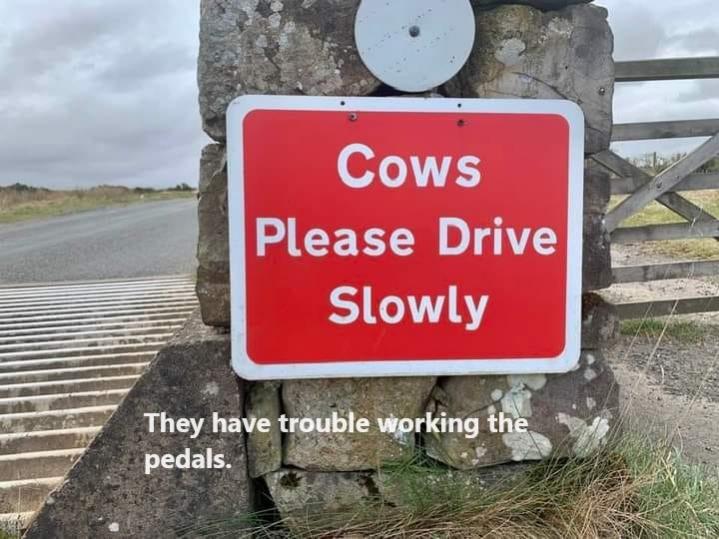 Name:  cows drive slow.jpg
Views: 567
Size:  64.5 KB
