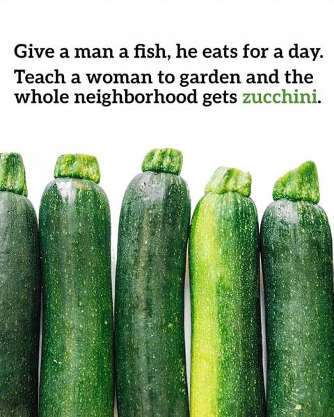 Name:  Zucchini.jpg
Views: 596
Size:  63.6 KB
