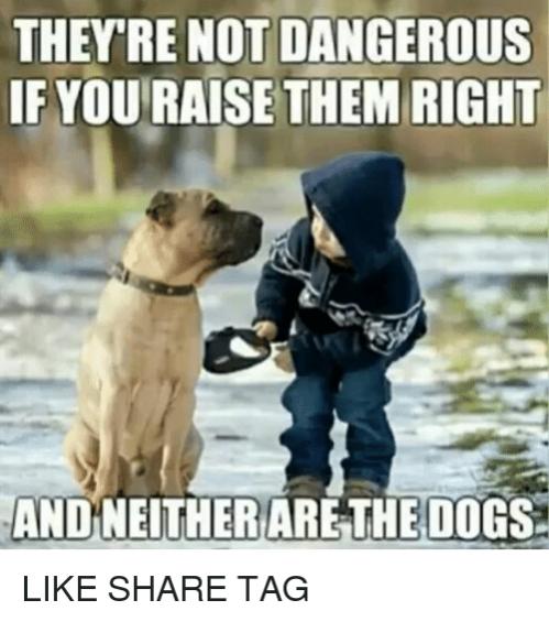 Name:  theyre-not-dangerous-if-you-raise-them-right-and-neither-26327629.jpg
Views: 1050
Size:  42.8 KB