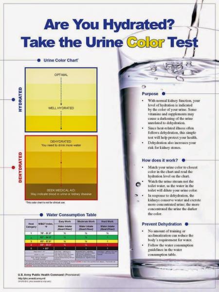 Name:  Urine Color Test_Poster.jpg
Views: 308
Size:  49.6 KB