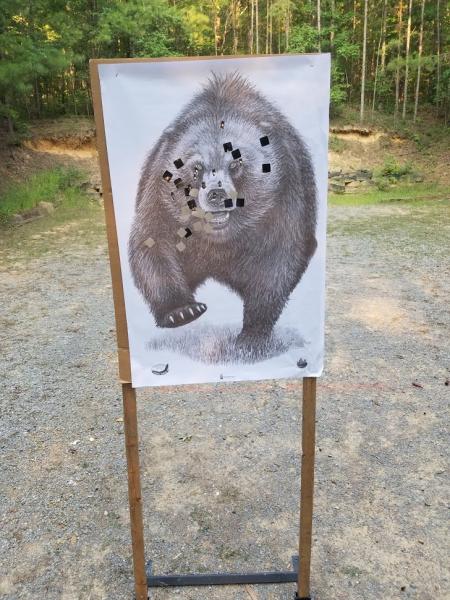 Name:  bear target.jpg
Views: 614
Size:  62.7 KB