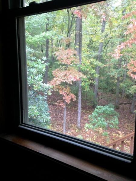 Name:  fall window.jpg
Views: 421
Size:  50.7 KB
