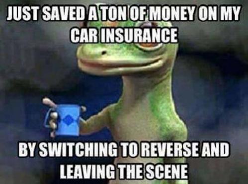 Name:  Meme - saved on car insurance.jpg Views: 907 Size:  29.5 KB