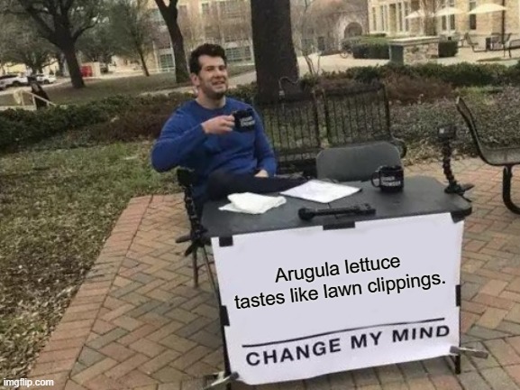 Name:  Arugula lettuce lawn.jpg
Views: 880
Size:  75.6 KB