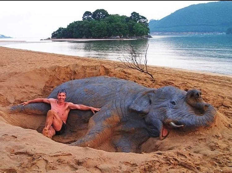 Name:  sand castle elephant.jpg
Views: 441
Size:  72.3 KB