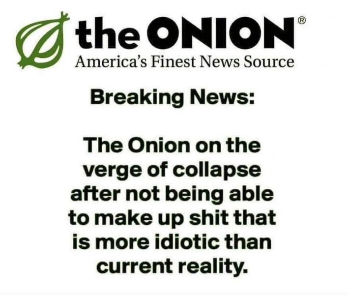 Name:  Onion reality.jpg
Views: 825
Size:  45.4 KB