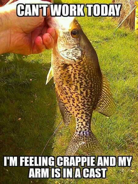 Name:  Feeling Crappie.jpg
Views: 1344
Size:  62.8 KB