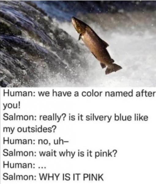 Name:  pinksalmon.jpg
Views: 589
Size:  38.4 KB