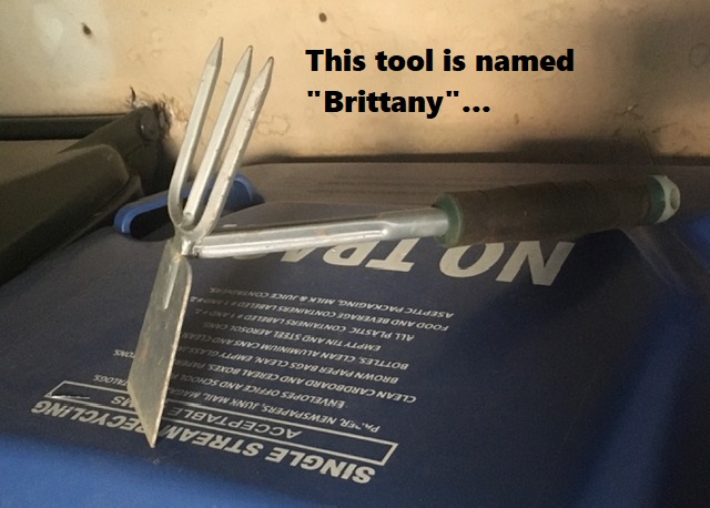 Name:  Brittney-setup.jpg
Views: 1291
Size:  85.4 KB