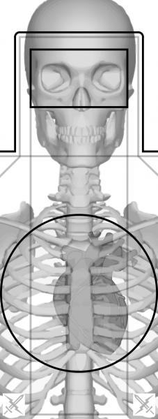 Name:  FAST Essentials (Anatomy) - 2 page US Letter.jpg
Views: 6241
Size:  23.1 KB