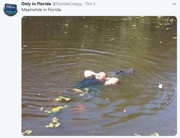 Name:  Florida Man.jpg
Views: 608
Size:  34.0 KB