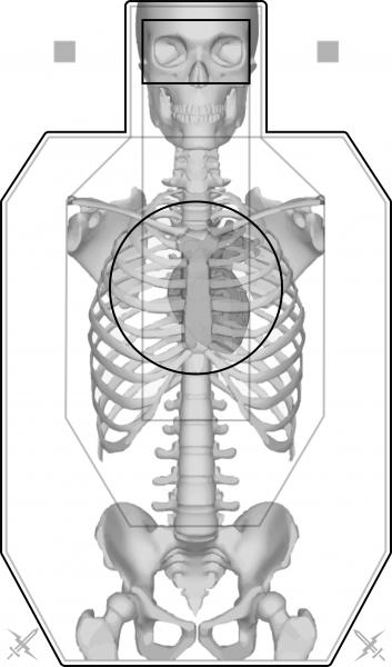 Name:  FAST Silhouette (Anatomy) - Full.jpg
Views: 7027
Size:  29.3 KB