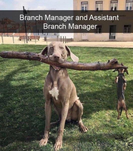 Name:  Branch managers.jpg
Views: 421
Size:  64.4 KB