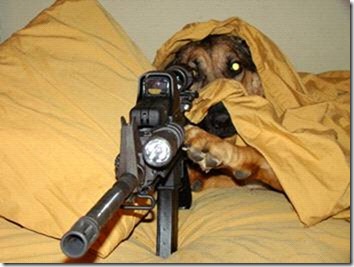 Name:  dogsniper2.jpg
Views: 970
Size:  29.0 KB