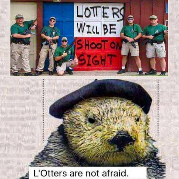 Name:  lOtters.jpg
Views: 432
Size:  71.1 KB