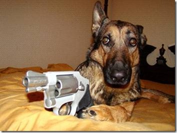 Name:  dogsniper4.jpg
Views: 1115
Size:  27.0 KB