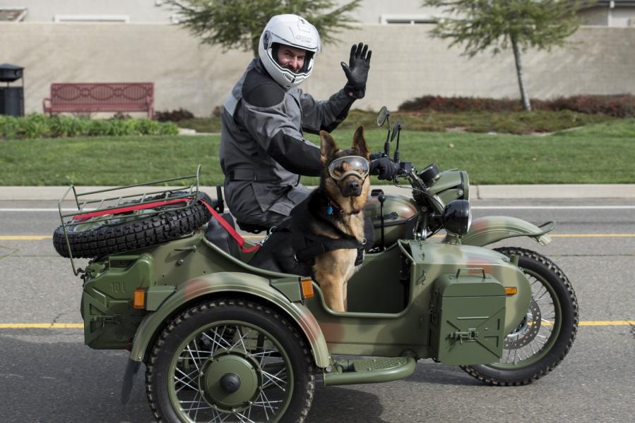 Name:  dog in sidecar 3.jpg
Views: 1041
Size:  83.5 KB