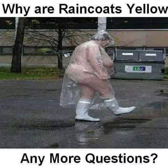 Name:  RainCoat.jpg
Views: 1008
Size:  43.0 KB