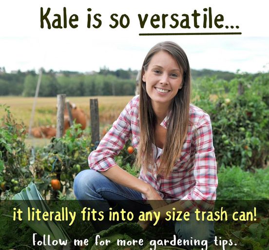 Name:  Kale.jpg
Views: 621
Size:  60.2 KB