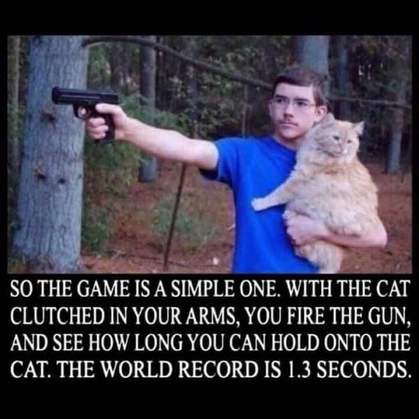 Name:  guy-gun-and-cat.jpg
Views: 970
Size:  51.8 KB