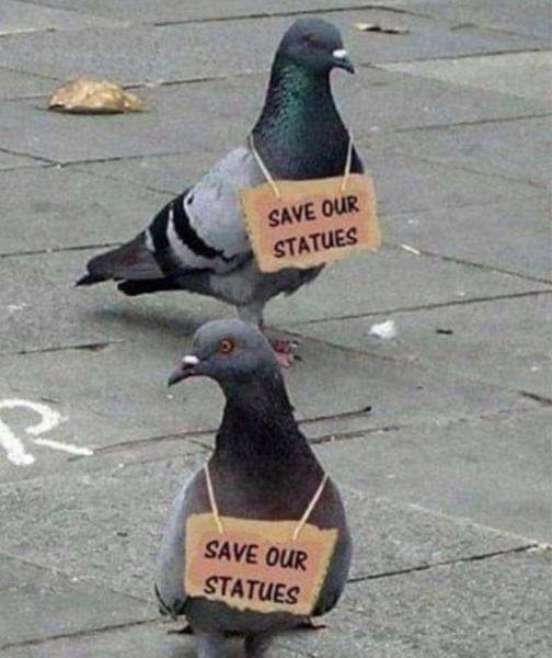 Name:  Pigeons.jpg
Views: 781
Size:  41.2 KB