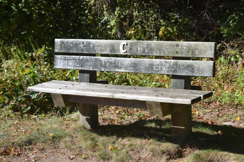 Name:  c=bench.jpg
Views: 455
Size:  104.6 KB