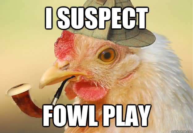 Name:  I-suspect-fowl-play.jpg
Views: 251
Size:  27.2 KB