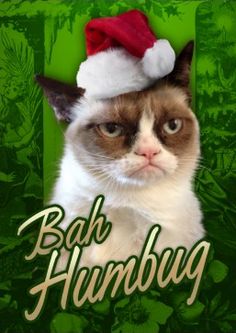 Name:  66965008b7c586b9df682b7cdccc1661--grumpy-cat-christmas-funny-ha-ha.jpg
Views: 799
Size:  18.3 KB