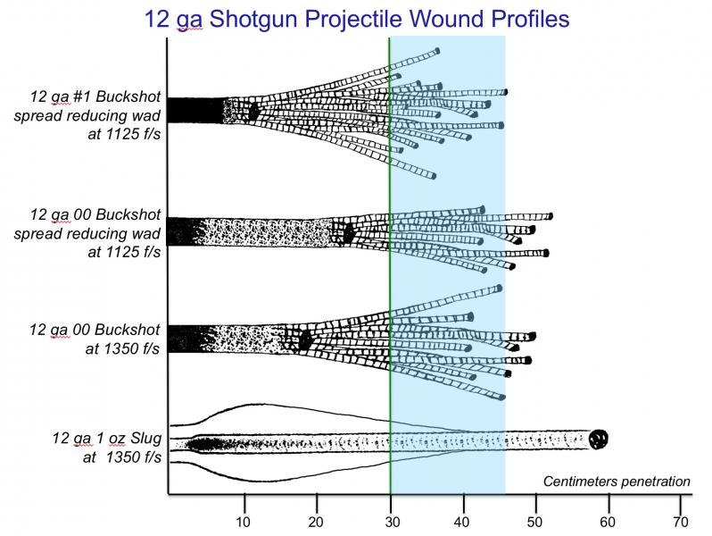 Name:  Shotgun terminal performance.jpg
Views: 281
Size:  68.0 KB