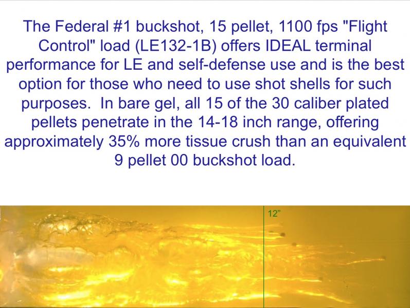 Name:  #1 buckshot.jpg
Views: 241
Size:  76.5 KB