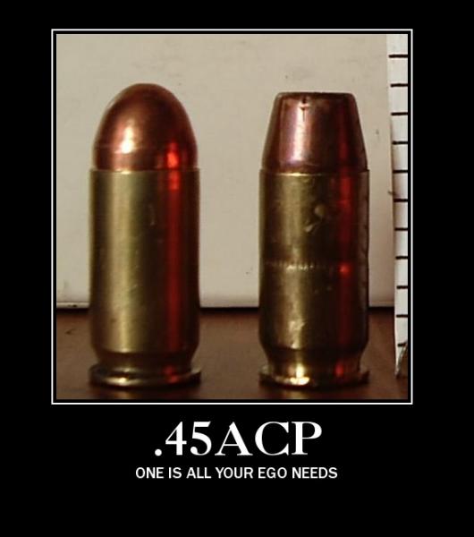 Name:  45acp ego.jpg
Views: 1098
Size:  25.2 KB