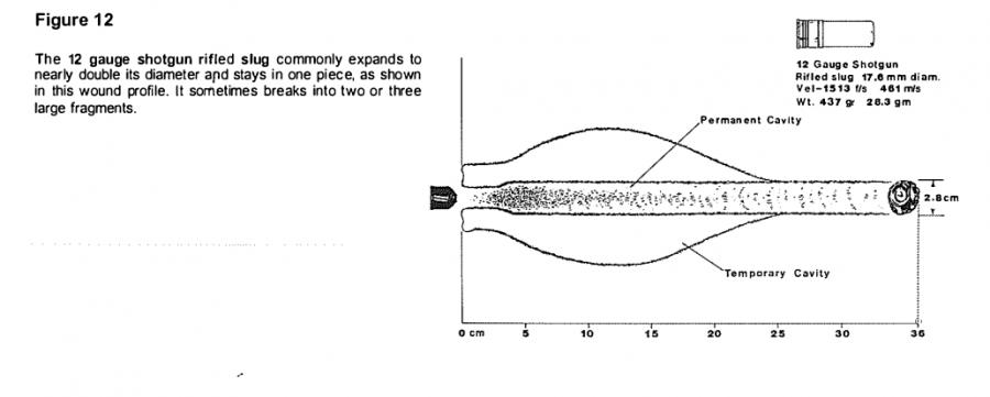 Name:  rifled_slug_wound_profile.jpg
Views: 1086
Size:  29.0 KB
