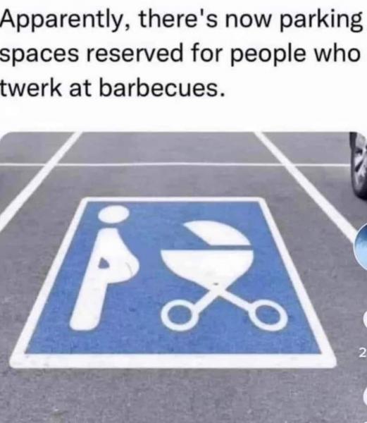 Name:  bbq twerking (used).jpg
Views: 841
Size:  35.4 KB