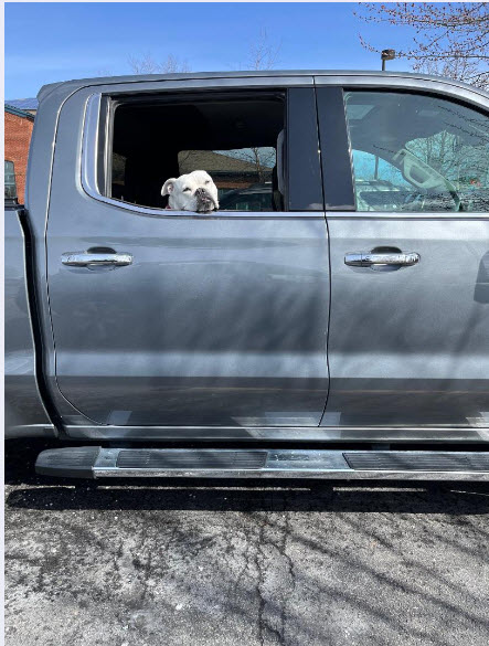 Name:  Dog in a truck.jpg
Views: 181
Size:  77.6 KB