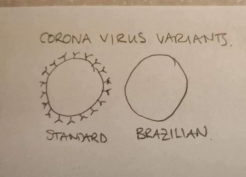 Name:  Corona-Virus-Variants.jpg
Views: 1014
Size:  27.8 KB