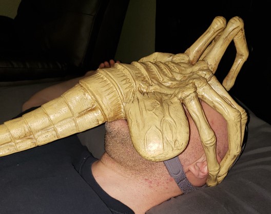 Name:  Alien-Facehugger-CPAP-Mask.jpg
Views: 874
Size:  80.6 KB