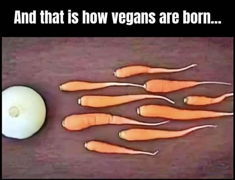 Name:  Vegan.jpg
Views: 511
Size:  44.2 KB