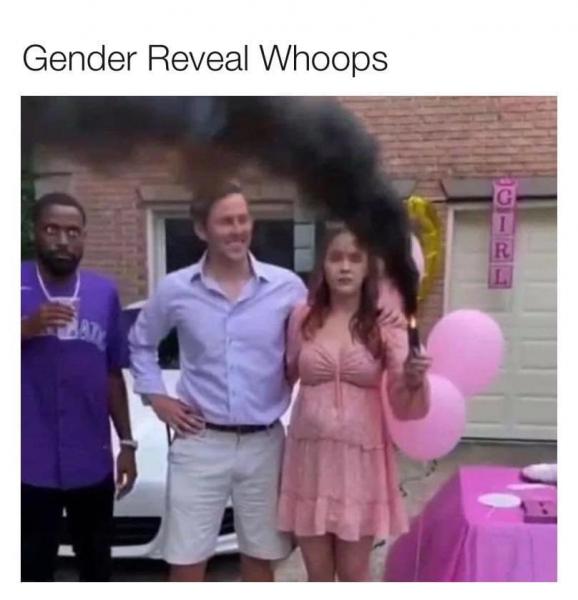 Name:  Gender Reveal Whoops (GOATS).jpg
Views: 1192
Size:  35.5 KB