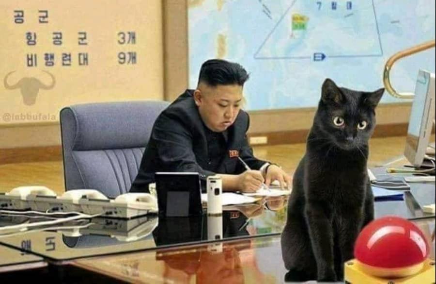 Name:  cat-north-korea.jpg
Views: 973
Size:  57.5 KB