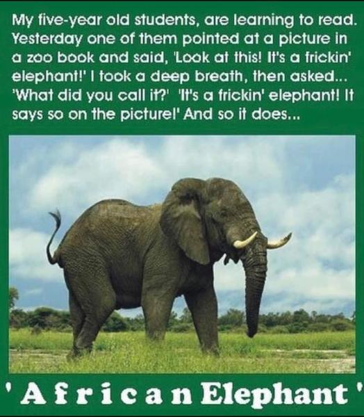 Name:  Elephant.jpg
Views: 830
Size:  54.9 KB