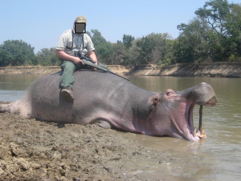 Name:  Hippo.jpg
Views: 205
Size:  70.2 KB