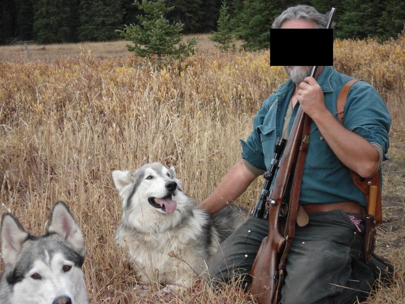 Name:  Malamute, with dogs, hunting.jpg
Views: 126
Size:  100.3 KB