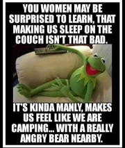 Name:  kermit.jpg
Views: 837
Size:  35.9 KB